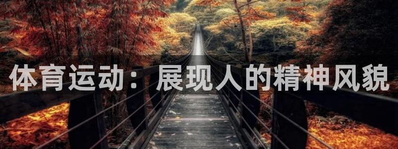 安信16体育app下载