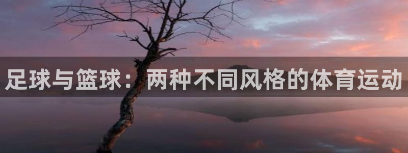 安信16体育3在线注册