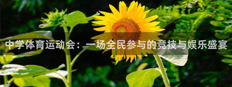 意昂
