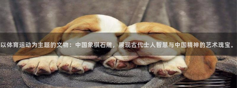 安信16体育官网注册