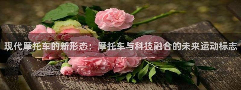 安信163官网登录