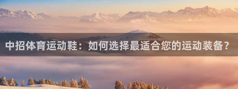 安信16集团