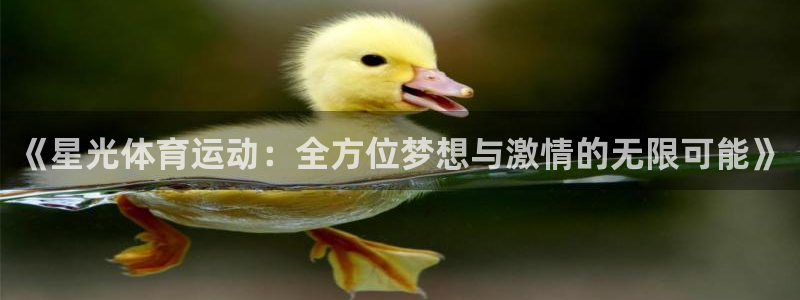 安信162体育登录入口