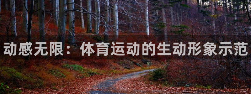 上海安信16汽车电子有限公司