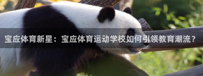 安信16