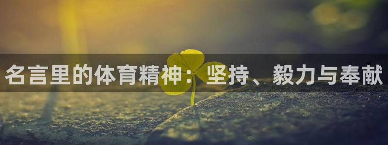 意昂体育注册代理