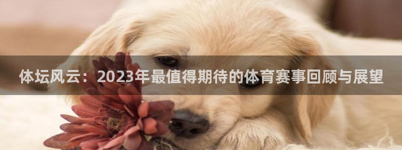 意昂体育注册代理