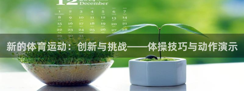 安信16体育用品