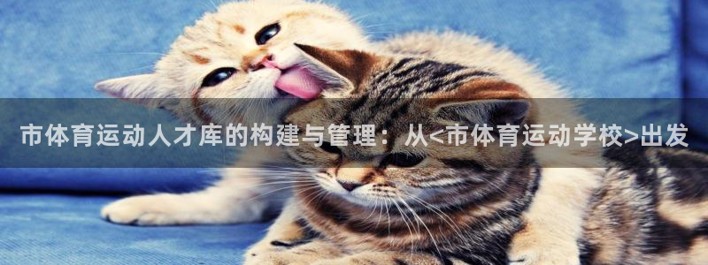 成都安信16电子有限公司