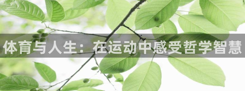 意昂是什么品牌
