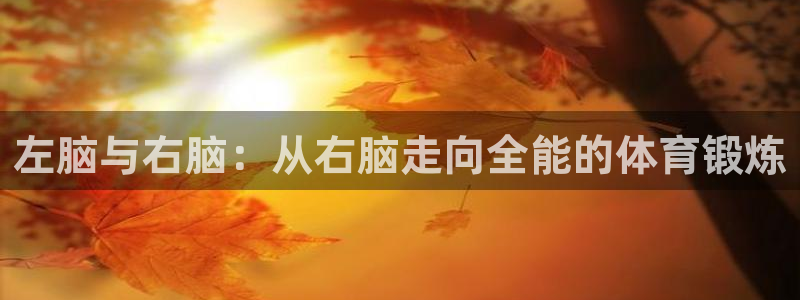 安信16体育合法嘛