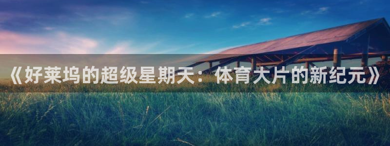 安信16