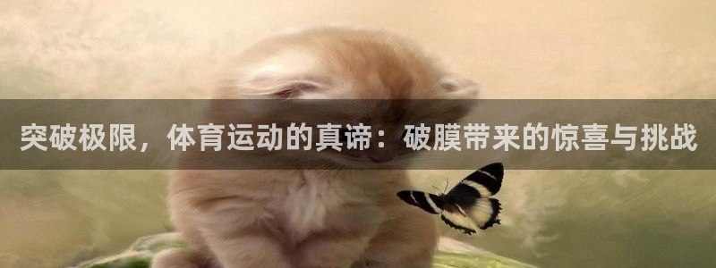 意昂5注册